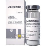 Купить амикацин, порошок для приготовления раствора для внутривенного и внутримышечного введения 1г, флакон в Заволжье