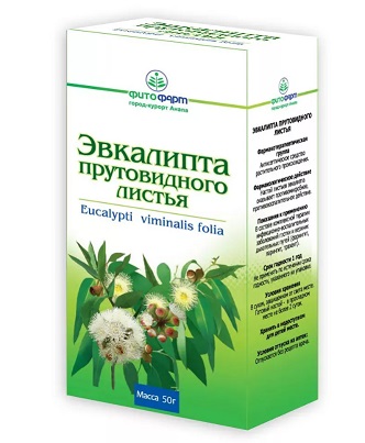 Эвкалипта прутовидного листья, пачка 50г