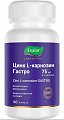 Купить цинк l-карнозин гастро, капсулы 60 шт бад в Заволжье