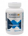 Купить норвесол омега 3, капсулы 500мг 60 шт. бад в Заволжье