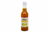 Купить сироп имбирный на фруктозе с лимоном доктор нутришин, флакон 250мл бад в Заволжье