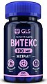 Купить gls (глс) витекс экстракт 100мг, капсулы 60 шт бад в Заволжье