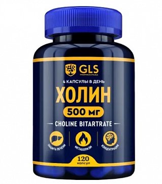 GLS (ГЛС) Холин 500мг, капсулы массой 400мг, 120шт БАД