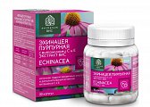 Купить эхинацея пурпурная с витаминами с и е экстракт вис, капсулы массой 350мг, 30 шт бад в Заволжье