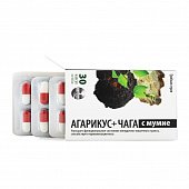 Купить агарикус+чага с мумие грибная серия, капсулы 450мг, 30 шт бад в Заволжье