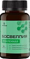 Купить босвеллия усиленная летофарм, капсулы 0,63г банка 60шт бад в Заволжье