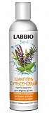 Labbio (Лаббио) шампунь сульсеновый против перхоти для жирных волос, 250мл