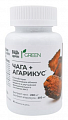 Купить агарикус+чага комплекс экстрактов грин будь здоров! таблетки массой 800мг 60шт бад в Заволжье
