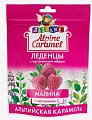Купить alpine caramel (альпийская карамель) леденцы детские малина с медом и витамином с , 75г бад в Заволжье