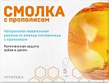 Купить витатека (vitateka) смолка жевательная лиственничная с прополисом, 5 шт  в Заволжье