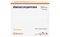 Купить амоксициллин, капсулы 250мг, 16 шт в Заволжье