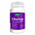 Купить холин 350мг, таблетки массой 1200мг 60 шт бад в Заволжье