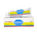 Купить тизоль, гель для местного и наружного применения, 30г в Заволжье