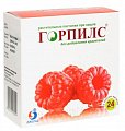 Купить горпилс, пастилки с малиновым вкусом растительные, 24 шт бад в Заволжье