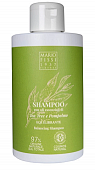 Купить mario fissi (марио фисси) 1937 шампунь для волос восстановление баланса с маслами чайного дерева и грейпфрута, 300мл в Заволжье