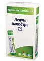 Купить ледум палюстре с5, гомеопатический монокомпонентный препарат растительного происхождения, гранулы гомеопатические 4г в Заволжье