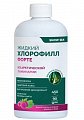 Купить snow sea хлорофилл форте жидкий со вкусом малины и мяты, 450 мл бад в Заволжье