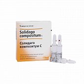 Купить солидаго композитум с, раствор для внутримышечного введения гомеопатический 2,2мл, ампулы 5шт в Заволжье